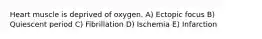 Heart muscle is deprived of oxygen. A) Ectopic focus B) Quiescent period C) Fibrillation D) Ischemia E) Infarction