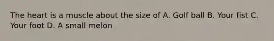 The heart is a muscle about the size of A. Golf ball B. Your fist C. Your foot D. A small melon