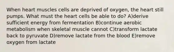 When heart muscles cells are deprived of oxygen, the heart still pumps. What must the heart cells be able to do? A)derive sufficient energy from fermentation B)continue aerobic metabolism when skeletal muscle cannot C)transform lactate back to pyruvate D)remove lactate from the blood E)remove oxygen from lactate