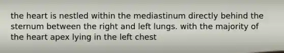 the heart is nestled within the mediastinum directly behind the sternum between the right and left lungs. with the majority of the heart apex lying in the left chest