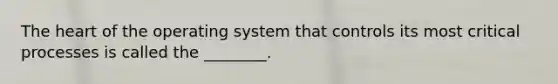 The heart of the operating system that controls its most critical processes is called the ________.