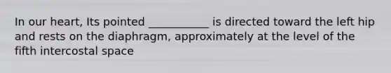 In our heart, Its pointed ___________ is directed toward the left hip and rests on the diaphragm, approximately at the level of the fifth intercostal space