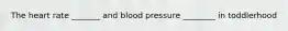 The heart rate _______ and blood pressure ________ in toddlerhood