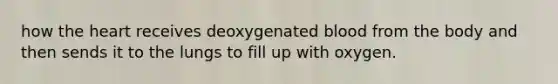 how the heart receives deoxygenated blood from the body and then sends it to the lungs to fill up with oxygen.