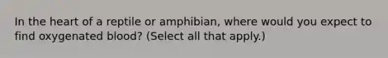 In the heart of a reptile or amphibian, where would you expect to find oxygenated blood? (Select all that apply.)