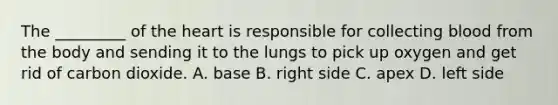 The​ _________ of <a href='https://www.questionai.com/knowledge/kya8ocqc6o-the-heart' class='anchor-knowledge'>the heart</a> is responsible for collecting blood from the body and sending it to the lungs to pick up oxygen and get rid of carbon dioxide. A. base B. right side C. apex D. left side