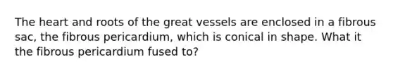 The heart and roots of the great vessels are enclosed in a fibrous sac, the fibrous pericardium, which is conical in shape. What it the fibrous pericardium fused to?