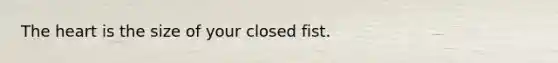 The heart is the size of your closed fist.