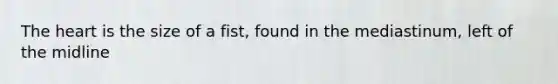 The heart is the size of a fist, found in the mediastinum, left of the midline