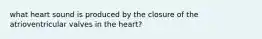 what heart sound is produced by the closure of the atrioventricular valves in the heart?