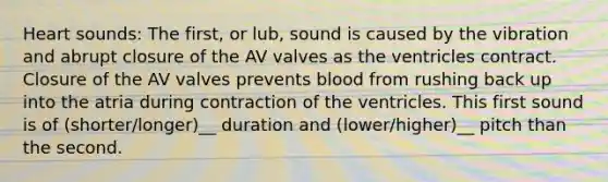 Heart sounds: The first, or lub, sound is caused by the vibration and abrupt closure of the AV valves as the ventricles contract. Closure of the AV valves prevents blood from rushing back up into the atria during contraction of the ventricles. This first sound is of (shorter/longer)__ duration and (lower/higher)__ pitch than the second.