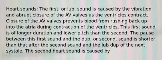 Heart sounds: The first, or lub, sound is caused by the vibration and abrupt closure of the AV valves as the ventricles contract. Closure of the AV valves prevents blood from rushing back up into the atria during contraction of the ventricles. This first sound is of longer duration and lower pitch than the second. The pause between this first sound and the dup, or second, sound is shorter than that after the second sound and the lub dup of the next systole. The second heart sound is caused by