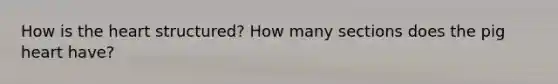 How is the heart structured? How many sections does the pig heart have?