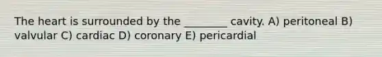 <a href='https://www.questionai.com/knowledge/kya8ocqc6o-the-heart' class='anchor-knowledge'>the heart</a> is surrounded by the ________ cavity. A) peritoneal B) valvular C) cardiac D) coronary E) pericardial