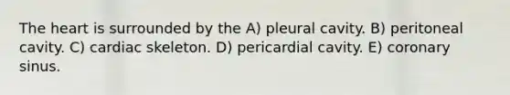 The heart is surrounded by the A) pleural cavity. B) peritoneal cavity. C) cardiac skeleton. D) pericardial cavity. E) coronary sinus.