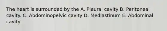 The heart is surrounded by the A. Pleural cavity B. Peritoneal cavity. C. Abdominopelvic cavity D. Mediastinum E. Abdominal cavity