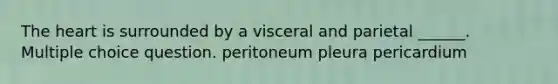 The heart is surrounded by a visceral and parietal ______. Multiple choice question. peritoneum pleura pericardium