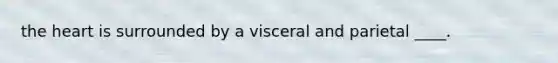 the heart is surrounded by a visceral and parietal ____.