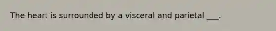 The heart is surrounded by a visceral and parietal ___.