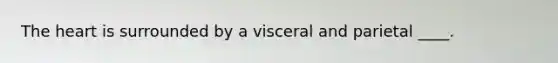 The heart is surrounded by a visceral and parietal ____.