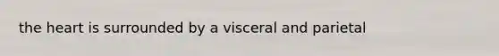 the heart is surrounded by a visceral and parietal