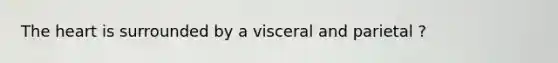 The heart is surrounded by a visceral and parietal ?