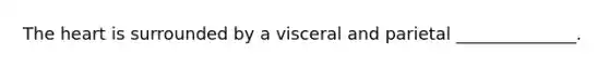 The heart is surrounded by a visceral and parietal ______________.