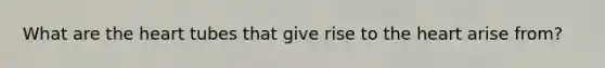 What are the heart tubes that give rise to the heart arise from?