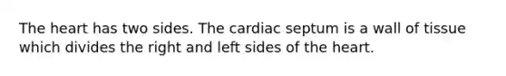 The heart has two sides. The cardiac septum is a wall of tissue which divides the right and left sides of the heart.