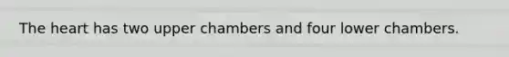 The heart has two upper chambers and four lower chambers.