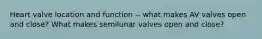 Heart valve location and function -- what makes AV valves open and close? What makes semilunar valves open and close?