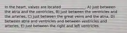 In the heart, valves are located _____________. A) just between the atria and the ventricles, B) just between the ventricles and the arteries, C) just between the great veins and the atria, D) between atria and ventricles and between ventricles and arteries, E) just between the right and left ventricles.