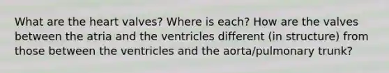 What are the heart valves? Where is each? How are the valves between the atria and the ventricles different (in structure) from those between the ventricles and the aorta/pulmonary trunk?