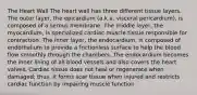 The Heart Wall The heart wall has three different tissue layers. The outer layer, the epicardium (a.k.a. visceral pericardium), is composed of a serous membrane. The middle layer, the myocardium, is specialized cardiac muscle tissue responsible for contraction. The inner layer, the endocardium, is composed of endothelium to provide a frictionless surface to help the blood flow smoothly through the chambers. The endocardium becomes the inner lining of all blood vessels and also covers the heart valves. Cardiac tissue does not heal or regenerate when damaged; thus, it forms scar tissue when injured and restricts cardiac function by impairing muscle function.