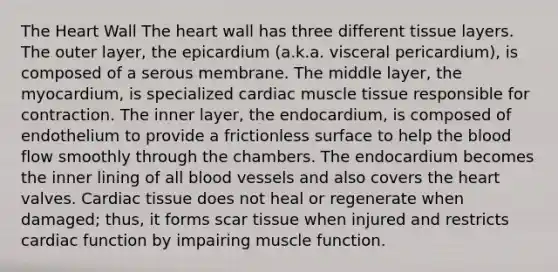 The Heart Wall The heart wall has three different tissue layers. The outer layer, the epicardium (a.k.a. visceral pericardium), is composed of a serous membrane. The middle layer, the myocardium, is specialized cardiac <a href='https://www.questionai.com/knowledge/kMDq0yZc0j-muscle-tissue' class='anchor-knowledge'>muscle tissue</a> responsible for contraction. The inner layer, the endocardium, is composed of endothelium to provide a frictionless surface to help <a href='https://www.questionai.com/knowledge/k7oXMfj7lk-the-blood' class='anchor-knowledge'>the blood</a> flow smoothly through the chambers. The endocardium becomes the inner lining of all blood vessels and also covers the heart valves. Cardiac tissue does not heal or regenerate when damaged; thus, it forms scar tissue when injured and restricts cardiac function by impairing muscle function.