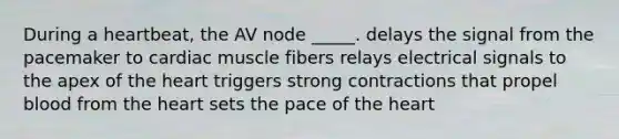 During a heartbeat, the AV node _____. delays the signal from the pacemaker to cardiac muscle fibers relays electrical signals to the apex of the heart triggers strong contractions that propel blood from the heart sets the pace of the heart