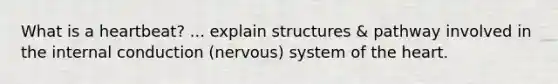 What is a heartbeat? ... explain structures & pathway involved in the internal conduction (nervous) system of the heart.