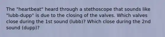 The "heartbeat" heard through a stethoscope that sounds like "lubb-dupp" is due to the closing of the valves. Which valves close during the 1st sound (lubb)? Which close during the 2nd sound (dupp)?