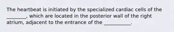 The heartbeat is initiated by the specialized cardiac cells of the ________, which are located in the posterior wall of the right atrium, adjacent to the entrance of the ___________.