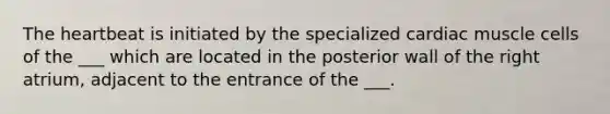 The heartbeat is initiated by the specialized cardiac muscle cells of the ___ which are located in the posterior wall of the right atrium, adjacent to the entrance of the ___.