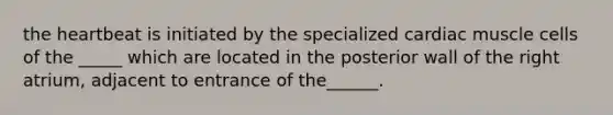 <a href='https://www.questionai.com/knowledge/kya8ocqc6o-the-heart' class='anchor-knowledge'>the heart</a>beat is initiated by the specialized cardiac muscle cells of the _____ which are located in the posterior wall of the right atrium, adjacent to entrance of the______.