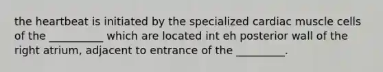 the heartbeat is initiated by the specialized cardiac muscle cells of the __________ which are located int eh posterior wall of the right atrium, adjacent to entrance of the _________.