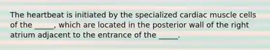 <a href='https://www.questionai.com/knowledge/kya8ocqc6o-the-heart' class='anchor-knowledge'>the heart</a>beat is initiated by the specialized cardiac muscle cells of the _____, which are located in the posterior wall of the right atrium adjacent to the entrance of the _____.