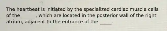 The heartbeat is initiated by the specialized cardiac muscle cells of the ______, which are located in the posterior wall of the right atrium, adjacent to the entrance of the _____.