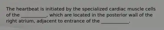 The heartbeat is initiated by the specialized cardiac muscle cells of the ___________, which are located in the posterior wall of the right atrium, adjacent to entrance of the ____________.