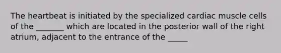 The heartbeat is initiated by the specialized cardiac muscle cells of the _______ which are located in the posterior wall of the right atrium, adjacent to the entrance of the _____