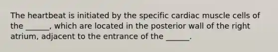 <a href='https://www.questionai.com/knowledge/kya8ocqc6o-the-heart' class='anchor-knowledge'>the heart</a>beat is initiated by the specific cardiac muscle cells of the ______, which are located in the posterior wall of the right atrium, adjacent to the entrance of the ______.