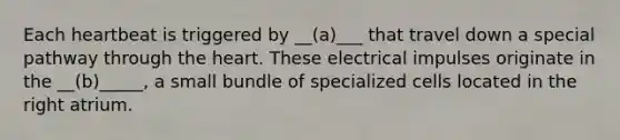 Each heartbeat is triggered by __(a)___ that travel down a special pathway through the heart. These electrical impulses originate in the __(b)_____, a small bundle of specialized cells located in the right atrium.