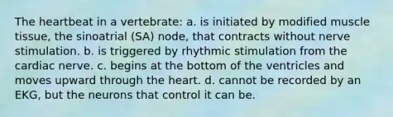 The heartbeat in a vertebrate: a. is initiated by modified muscle tissue, the sinoatrial (SA) node, that contracts without nerve stimulation. b. is triggered by rhythmic stimulation from the cardiac nerve. c. begins at the bottom of the ventricles and moves upward through the heart. d. cannot be recorded by an EKG, but the neurons that control it can be.