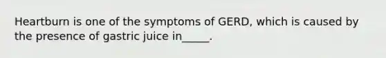 Heartburn is one of the symptoms of GERD, which is caused by the presence of gastric juice in_____.